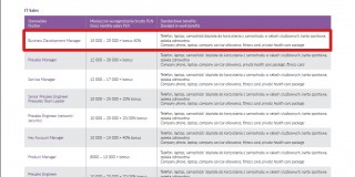 Ile zarabia się w dziale sprzedaży w IT – wynagrodzenia w Polsce 2015 wg Antal