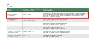 Ile zarabia się w branży FMCG  – raport Antal 2015