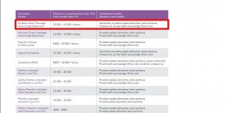 Ile zarabiają specjaliści w Polsce – raport Antal za 2015 r.